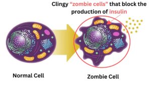 Zombie Cell